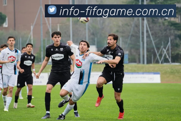 奖项证书